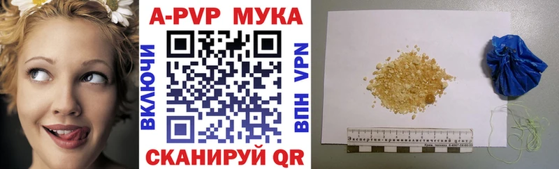 shop как зайти  Курск  А ПВП СК КРИС 