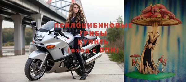 молекула духа Алексеевка