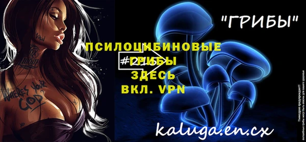 молекула духа Алексеевка