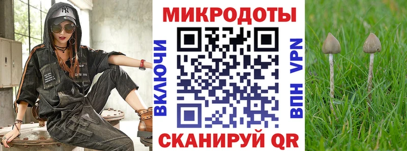 ОМГ ОМГ зеркало  купить   Курск  Псилоцибиновые грибы ЛСД 